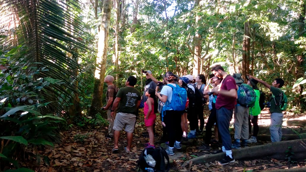 amazon garden lodge-Inca Jungle Trek to Machu Picchu
