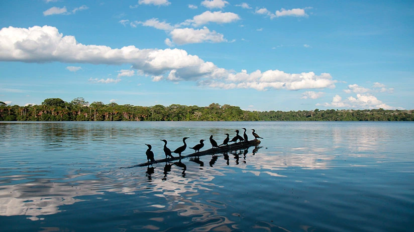 Sandoval Lake 4 Days tambopata