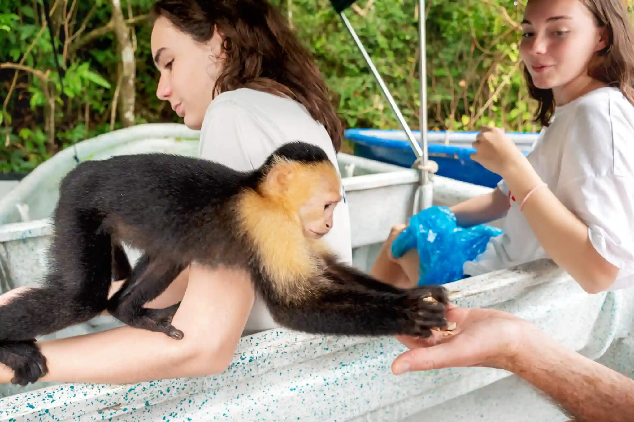 monkey island tour