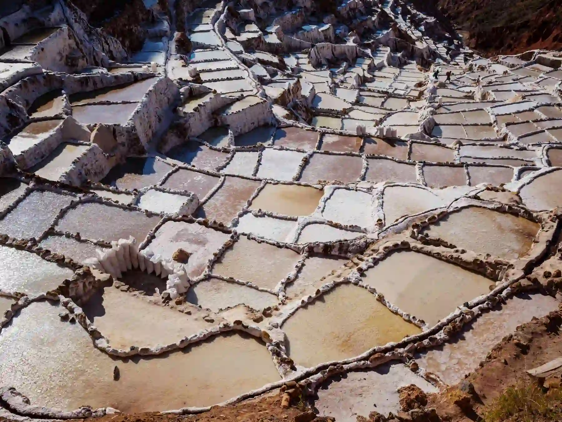 1 day atv maras moray
