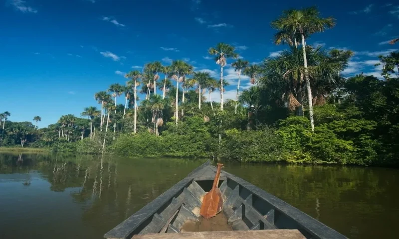 Tambopata National Reserve