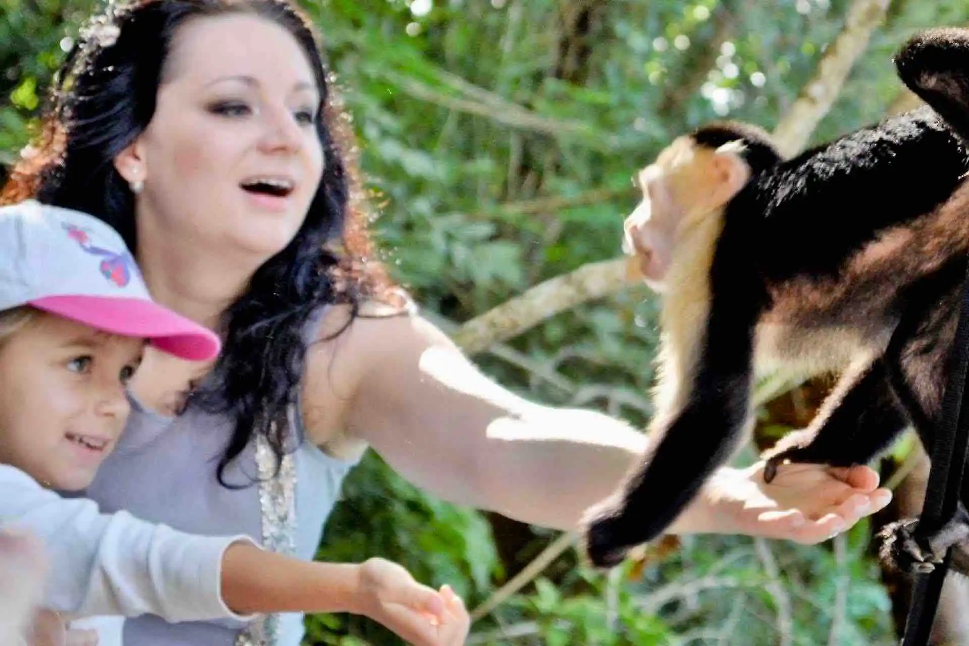 best tambopata 4 day tour