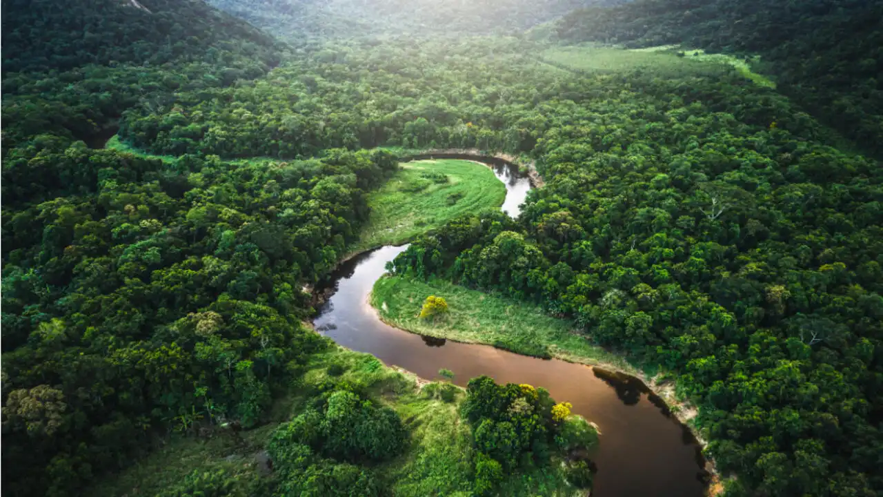 What are Amazon jungle mysteries