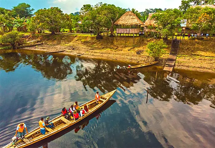 pacaya amazon mystery