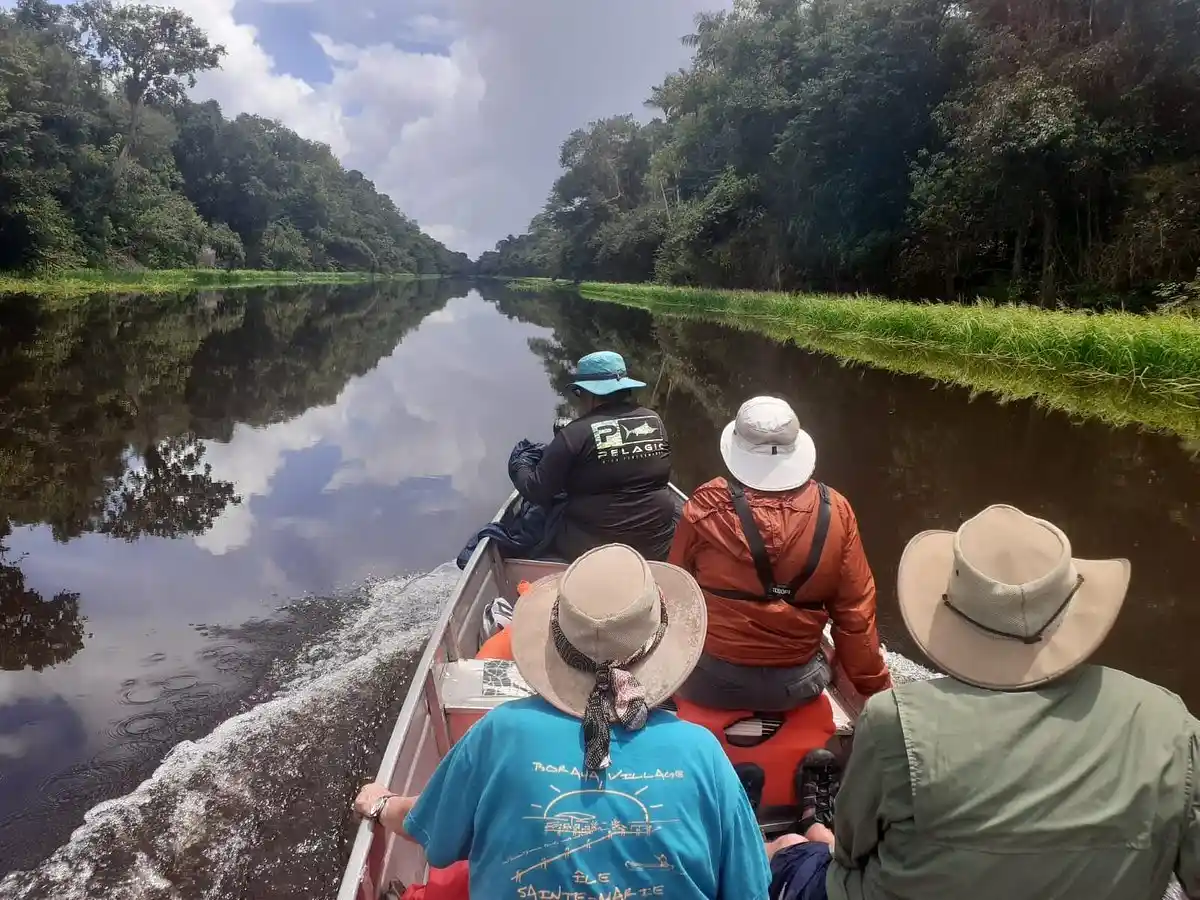 Frequently asked questions about National parks in the amazon