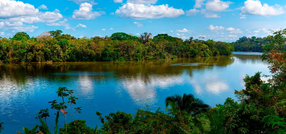 Tambopata National Reserve