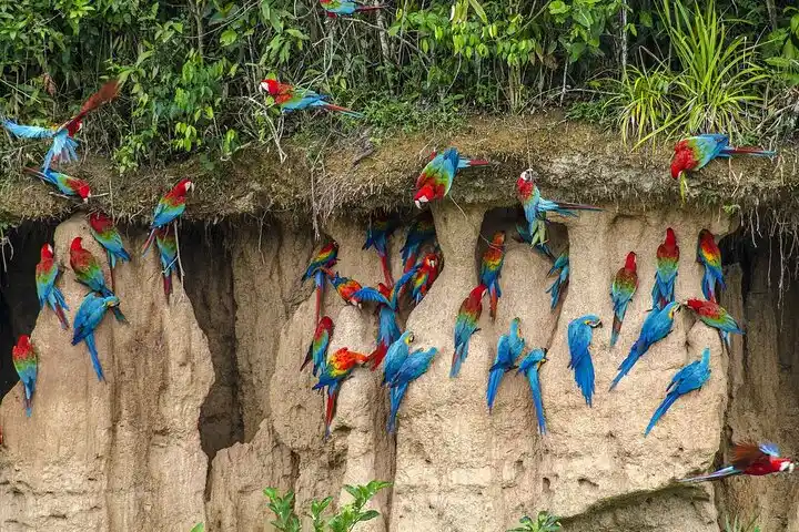 Why National Parks are important