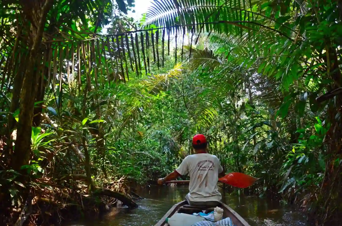 Why visit the amazon rainforest of Peru