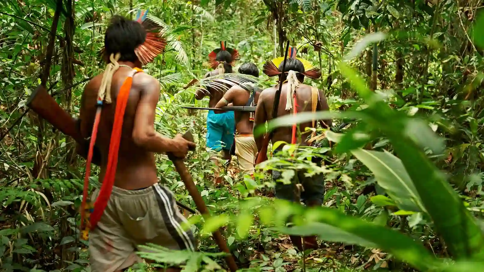 How to visit the Amazonian tribes