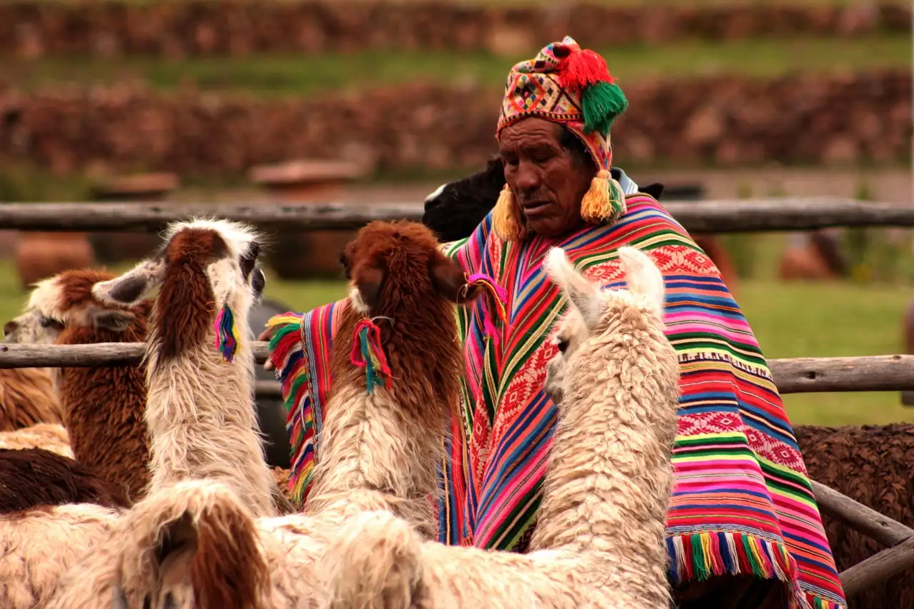 Calendar of festivities in Peru in November
