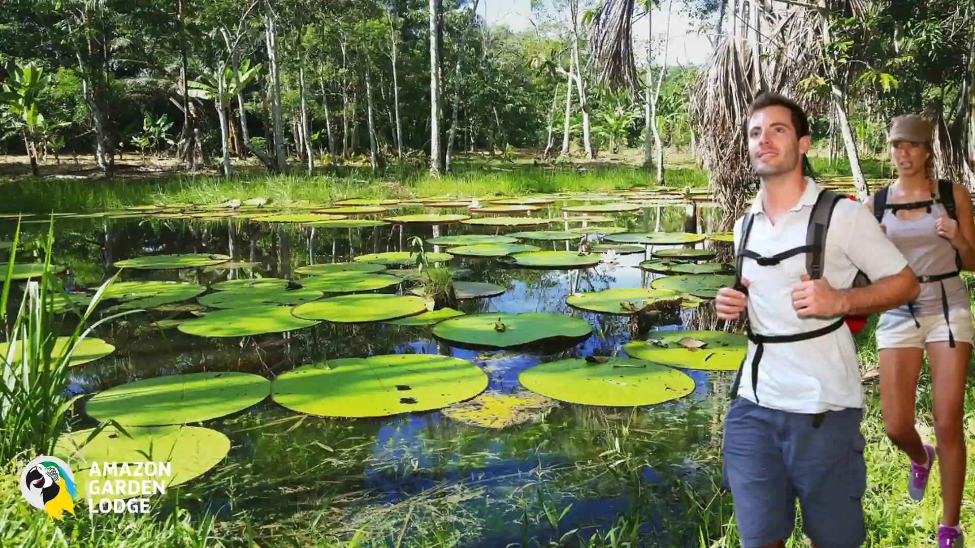 A final look at the most interesting facts about Amazon rainforest
