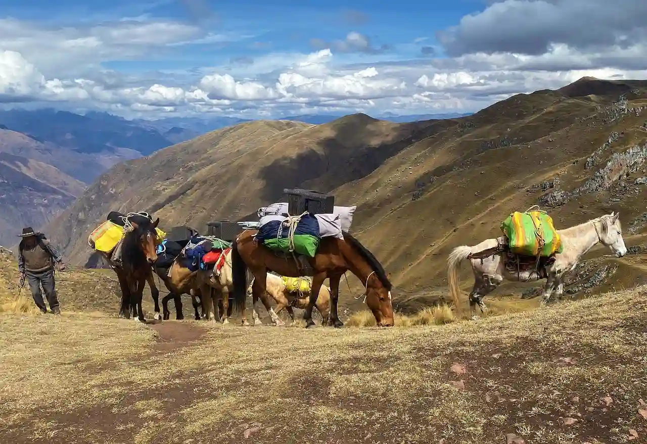 inca jungle tour