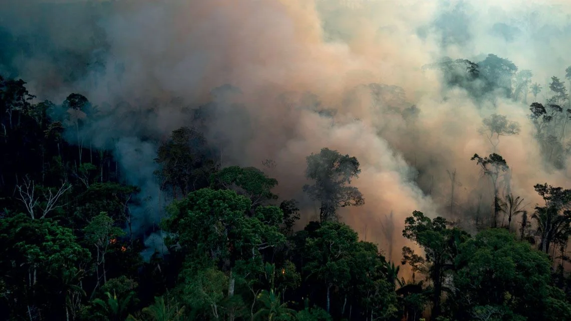methane bubbles in the amazon rainforest