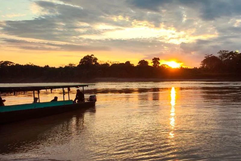 Travel tips for Tambopata Jungle tours