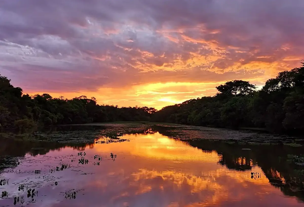 iquitos 2 day amazon tour