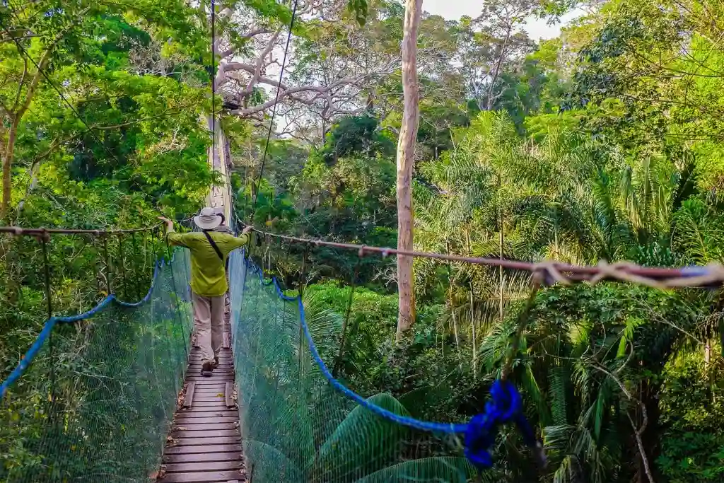 tambopata tours Canopy walkway