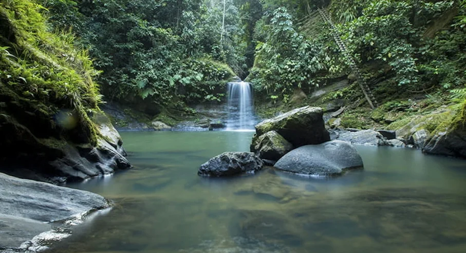 Carpishuyacu Waterfall
