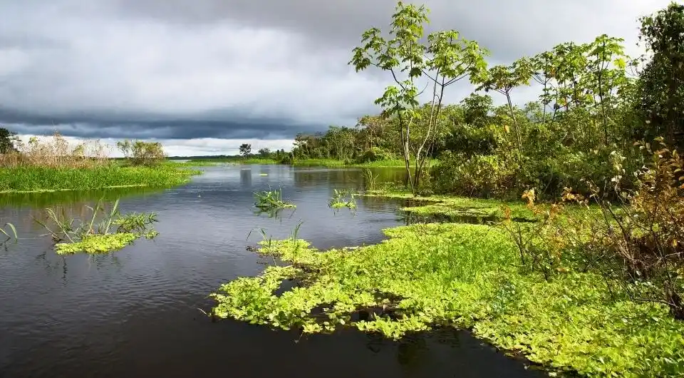 pacaya samiria national reserve tour 3 day