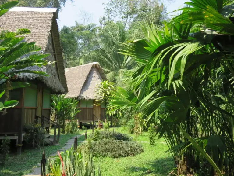 tambopata tours peru