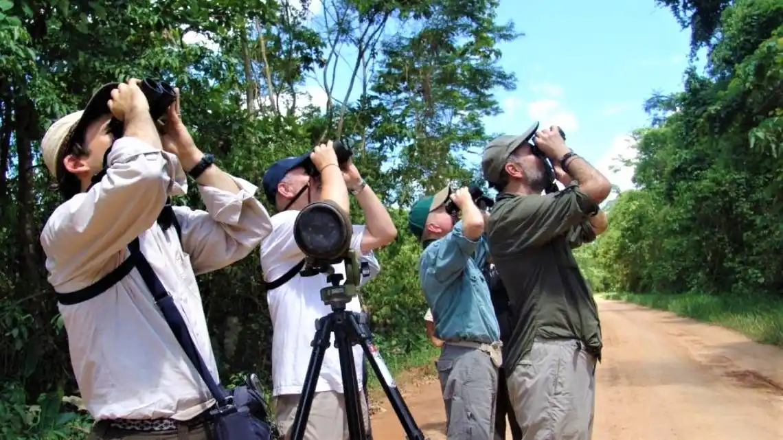 How to organize your birding trip to Peru