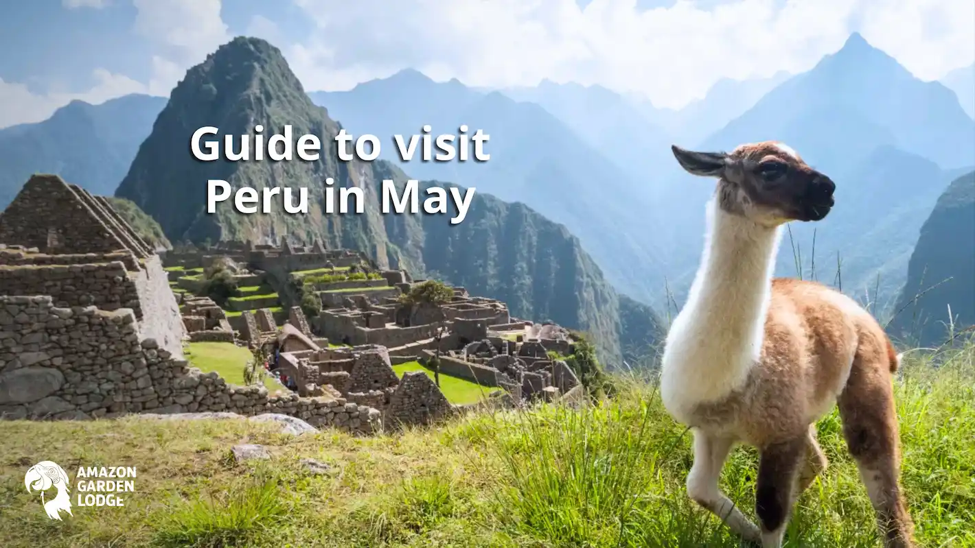 peru in may
