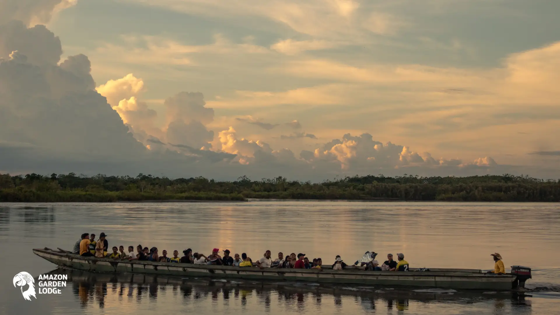Frequently asked questions about the Amazonian manatee