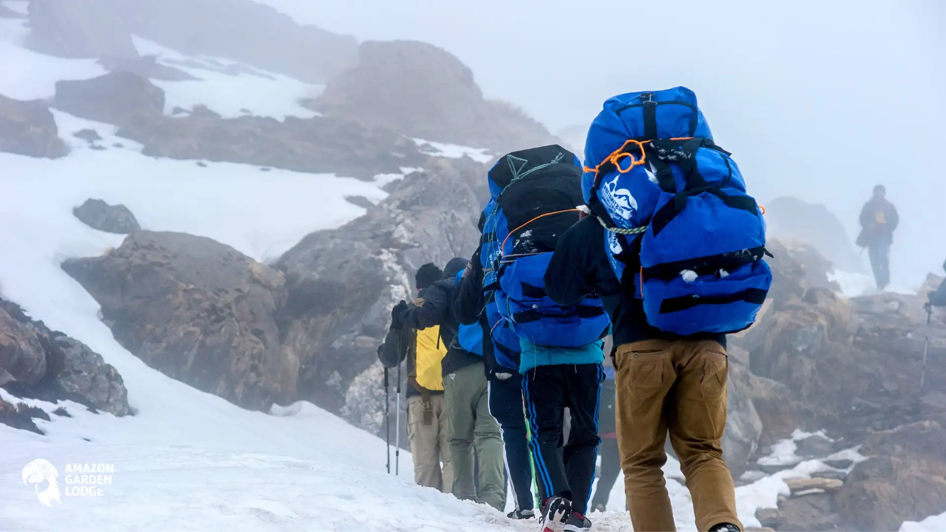 High-Altitude Pulmonary Edema