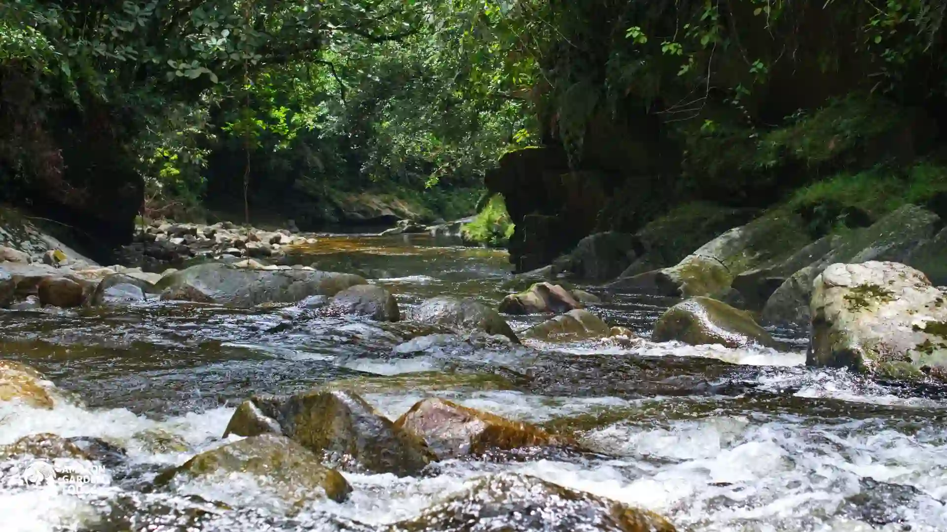 Marañón River