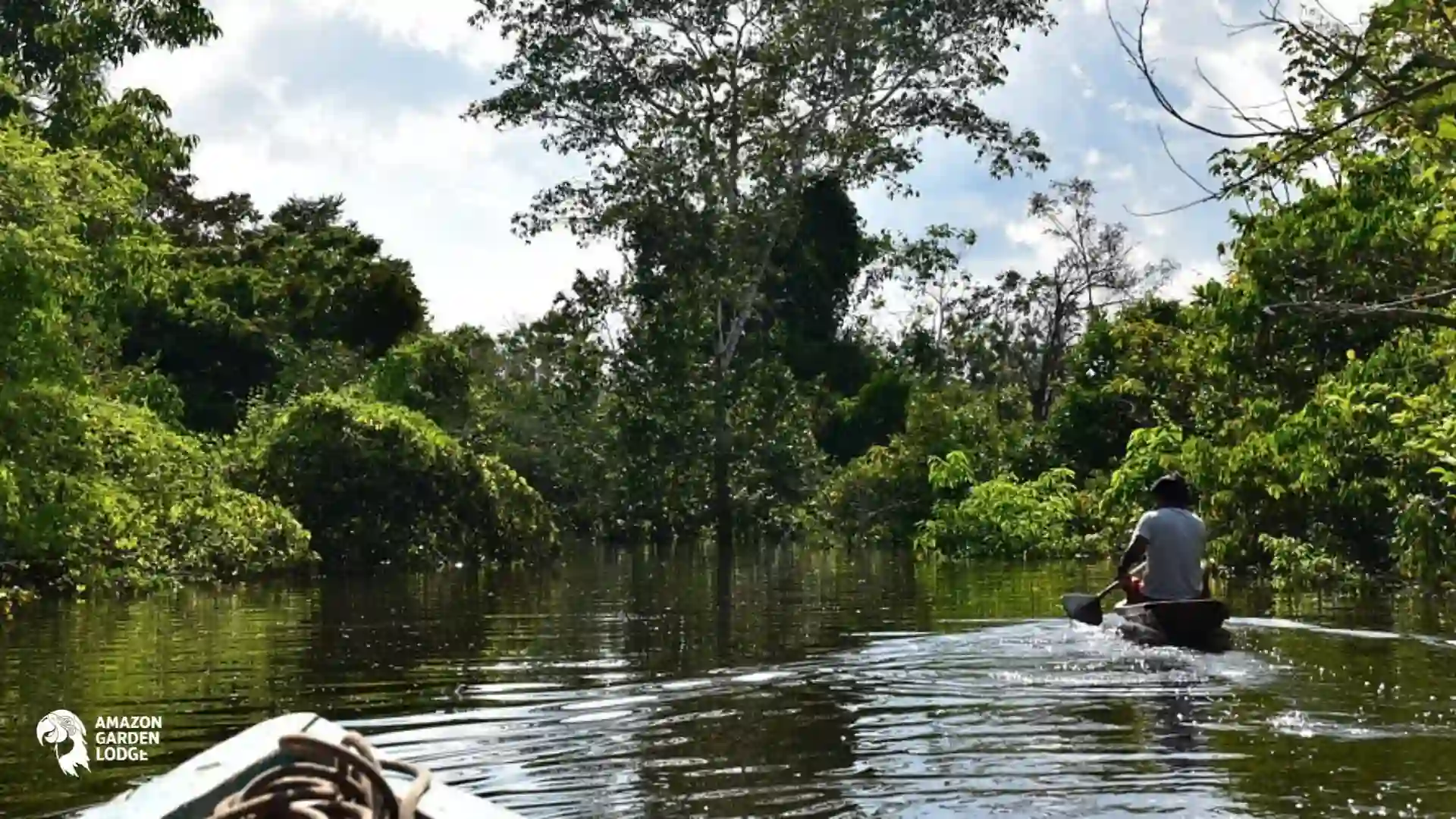 Ucayali River