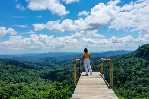 Traveler standing on a high wooden viewing platform overlooking the dense Tambopata rainforest canopy