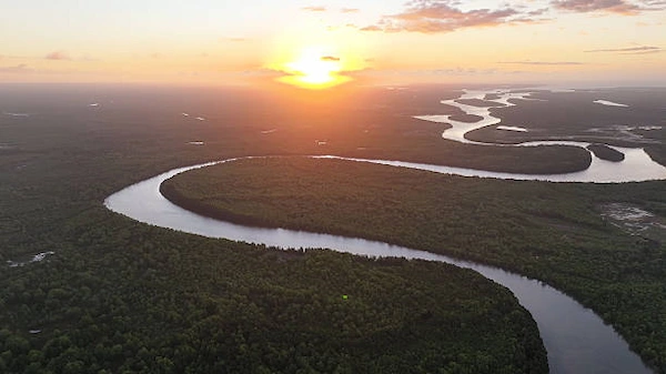 Aerial view of the winding river cutting through the dense rainforest of Tambopata National Reserve at sunset.