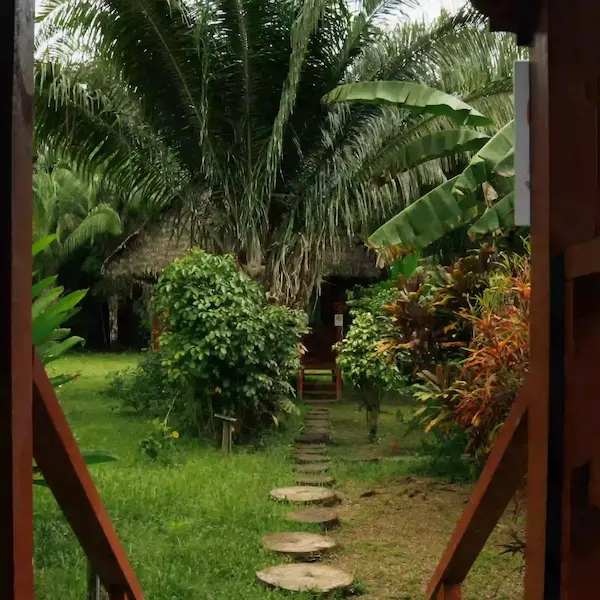 peru amazon tours puerto maldonado