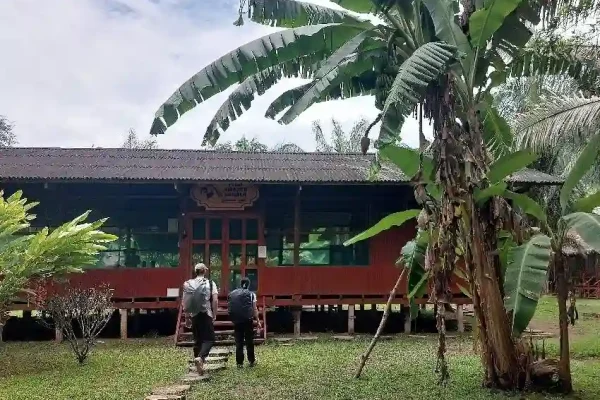 Which lodge to choose in Tambopata for an authentic experience